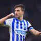 Brighton Hove Albion Joel Veltman Injury News