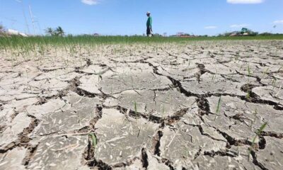 Cebu City Farmers Irrigation Drought El Niño