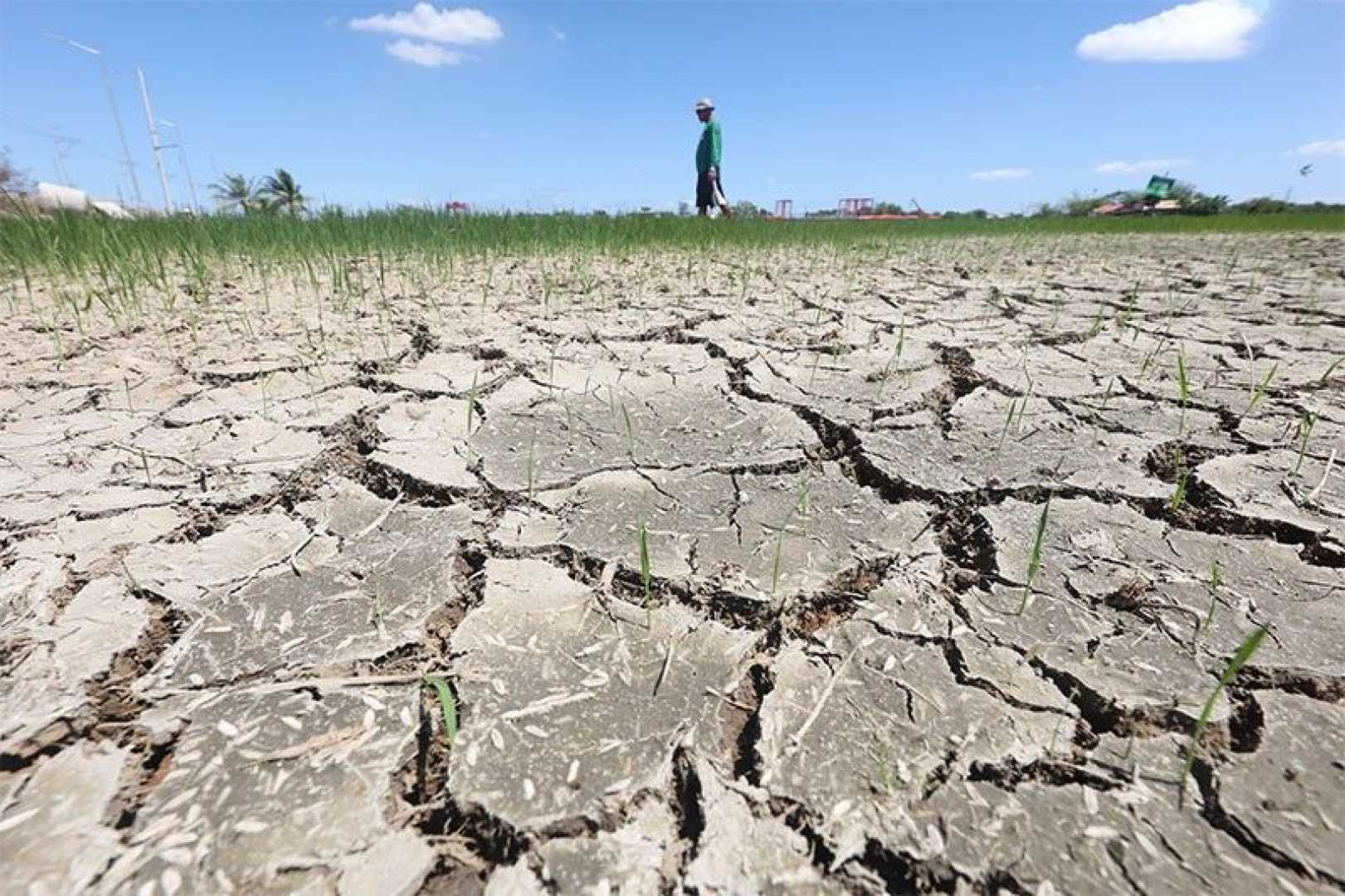 Cebu City Farmers Irrigation Drought El Niño