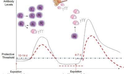 Child Receiving Vaccine, Antibody Levels, Immunity