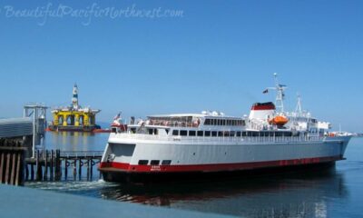 Coho Ferry Arrival Port Angeles