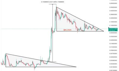 Dogecoin Price Chart Analysis