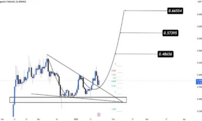 Dogecoin Price Drop Cryptocurrency Market Decline