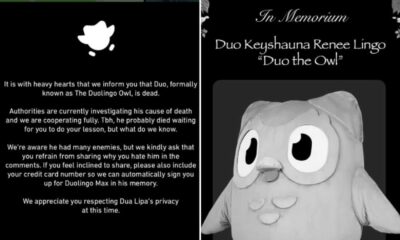 Duolingo Owl Duo Mascot Death Announcement