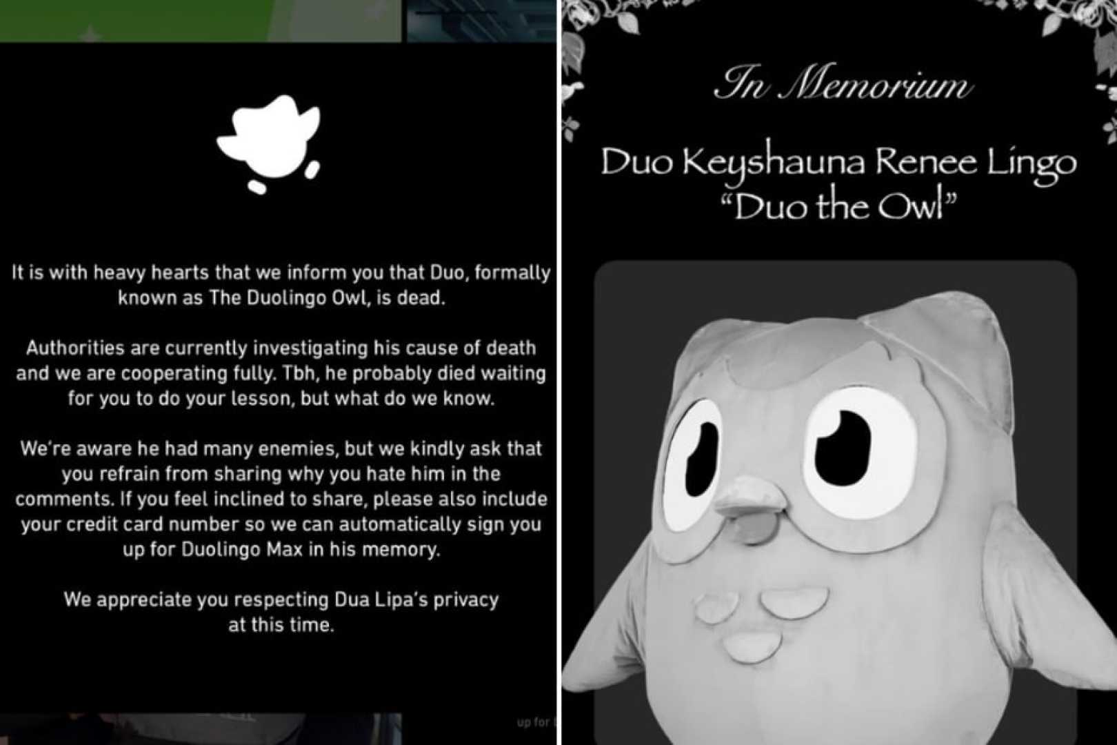 Duolingo Owl Duo Mascot Death Announcement