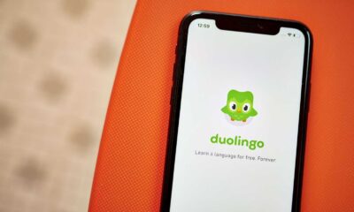 Duolingo Owl Duo With A Cowboy Hat