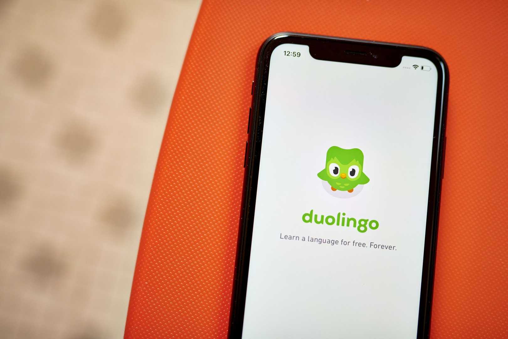 Duolingo Owl Duo With A Cowboy Hat