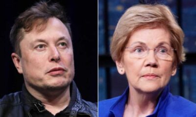 Elizabeth Warren Elon Musk Government Criticism