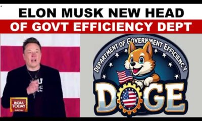 Elon Musk Department Of Government Efficiency