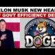 Elon Musk Department Of Government Efficiency