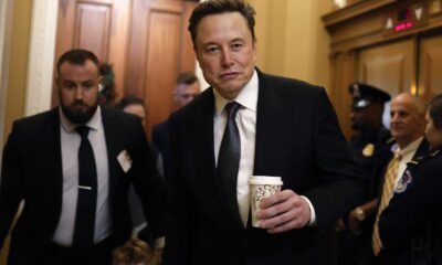 Elon Musk Department Of Government Efficiency Capitol