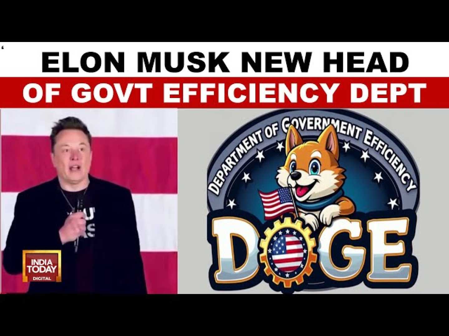 Elon Musk Department Of Government Efficiency