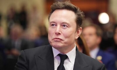 Elon Musk Government Role Controversy