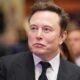 Elon Musk Government Role Controversy