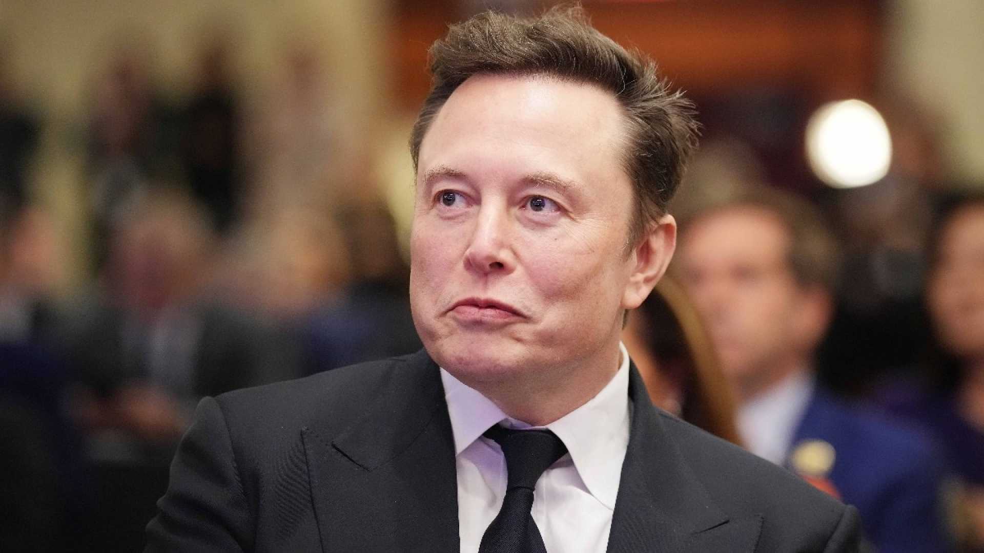 Elon Musk Government Role Controversy