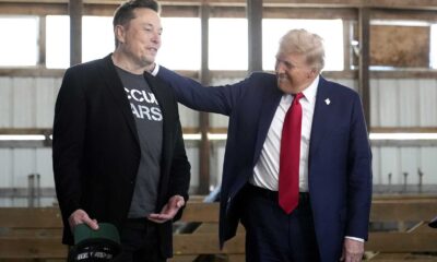 Elon Musk Trump Government Efficiency News