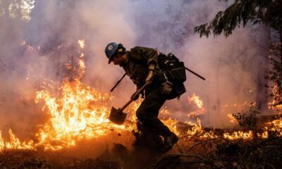 Federal Firefighters California Wildfires