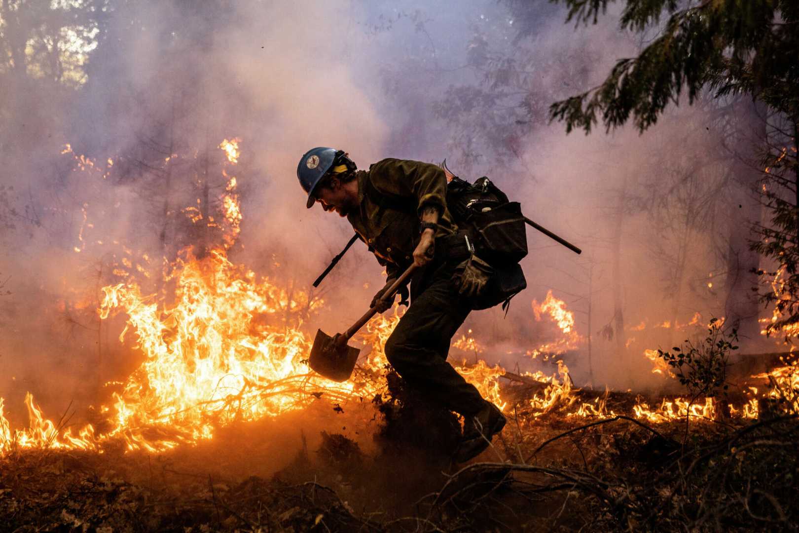 Federal Firefighters California Wildfires