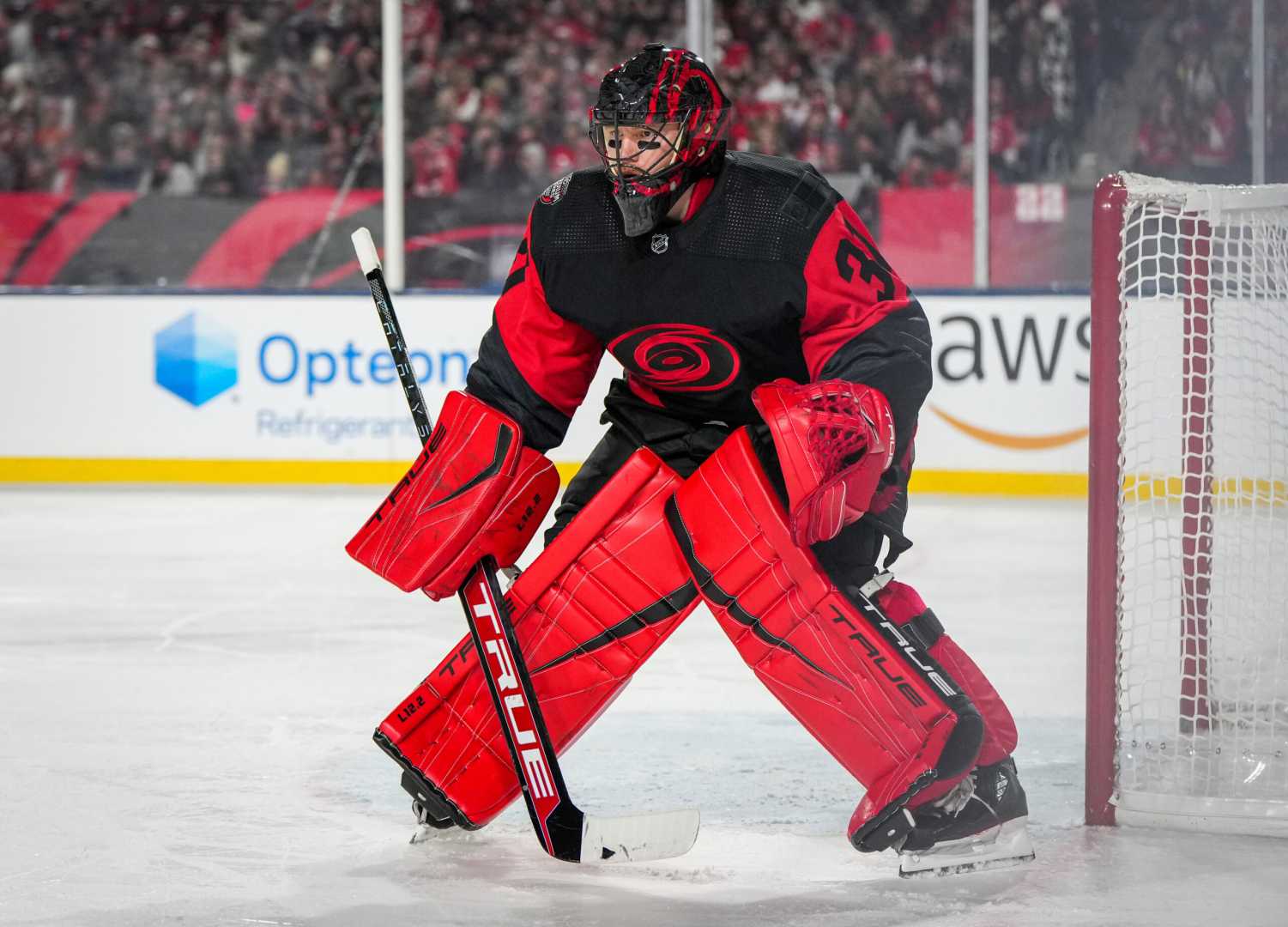 Frederik Andersen Hockey Carolina Hurricanes