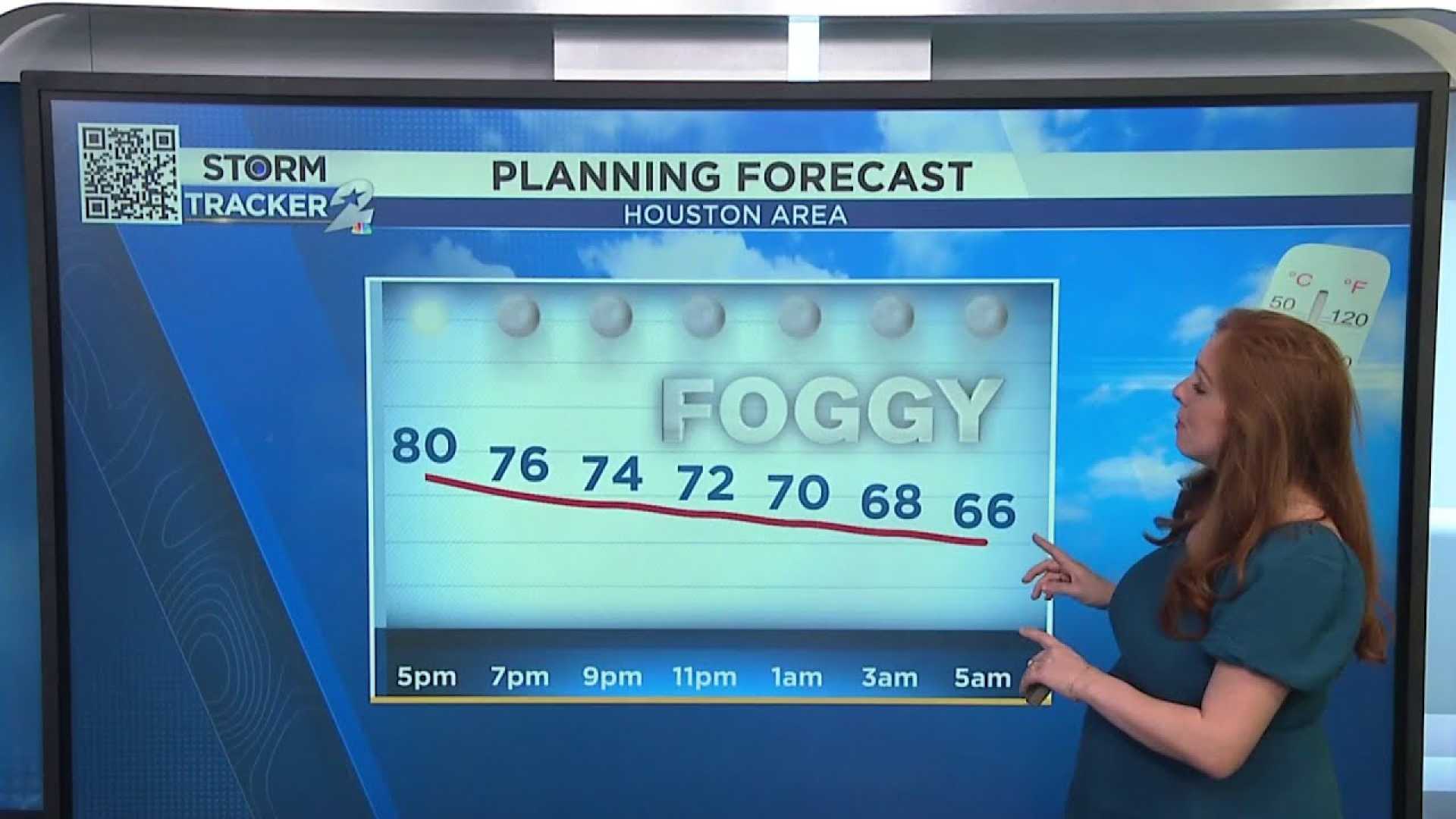 Houston Fog Shipping Forecast