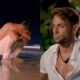 José Carlos Montoya Temptation Island Confrontation