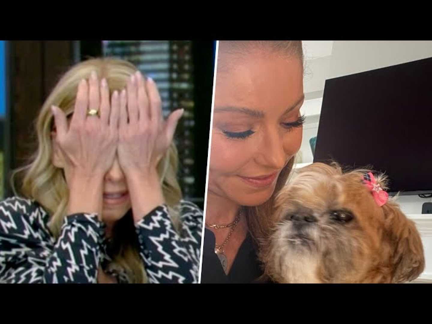 Kelly Ripa Mark Consuelos Mourning Dog