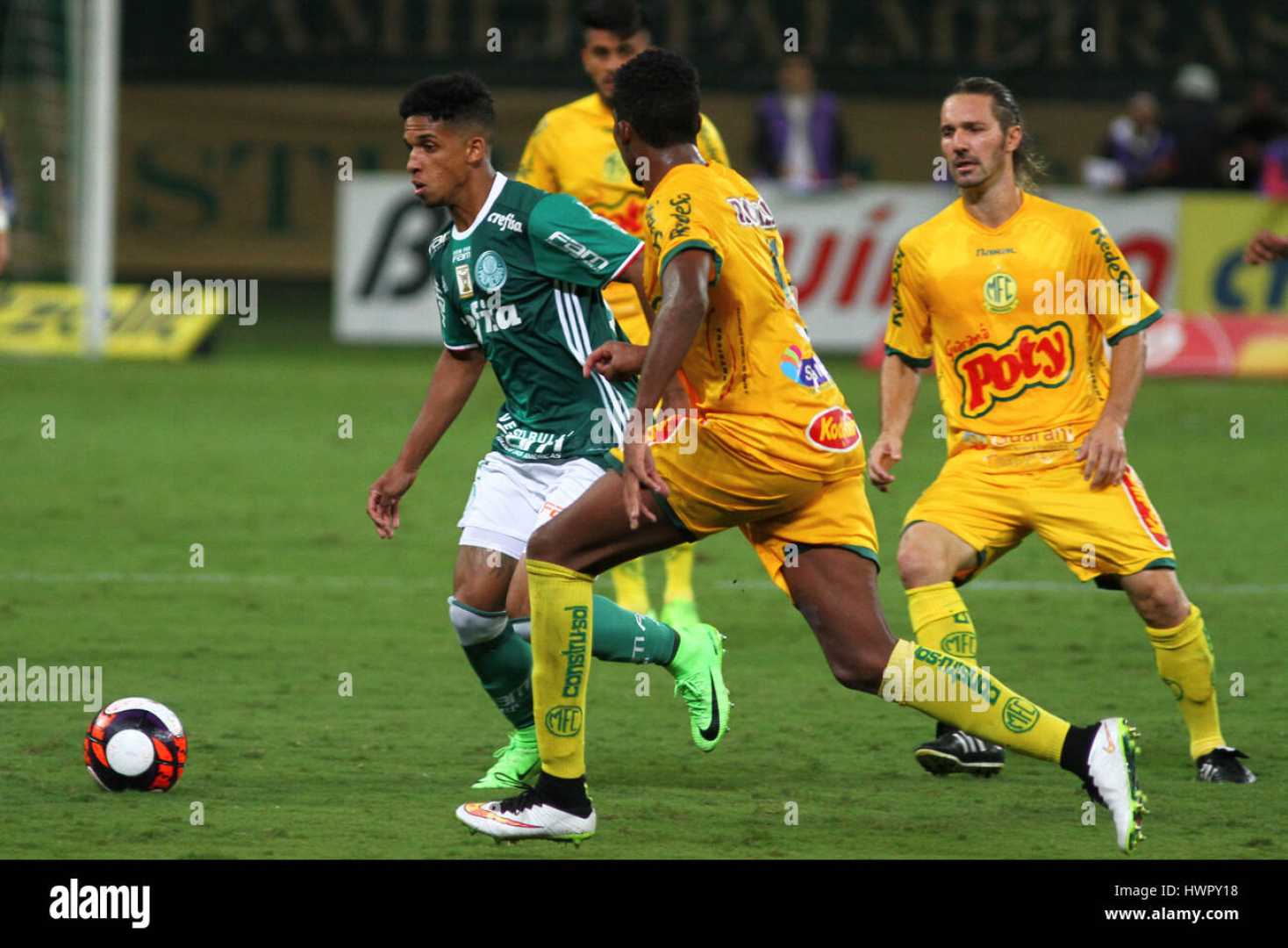 Mirassol Palmeiras Football Match