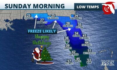 Naples Florida Cold Weather Forecast