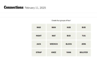 New York Times Connections Puzzle February 11