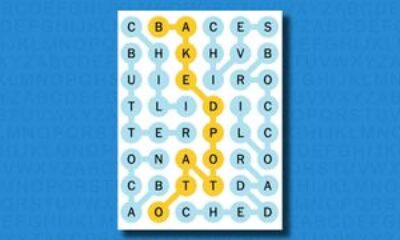 New York Times Strands Word Game Interface