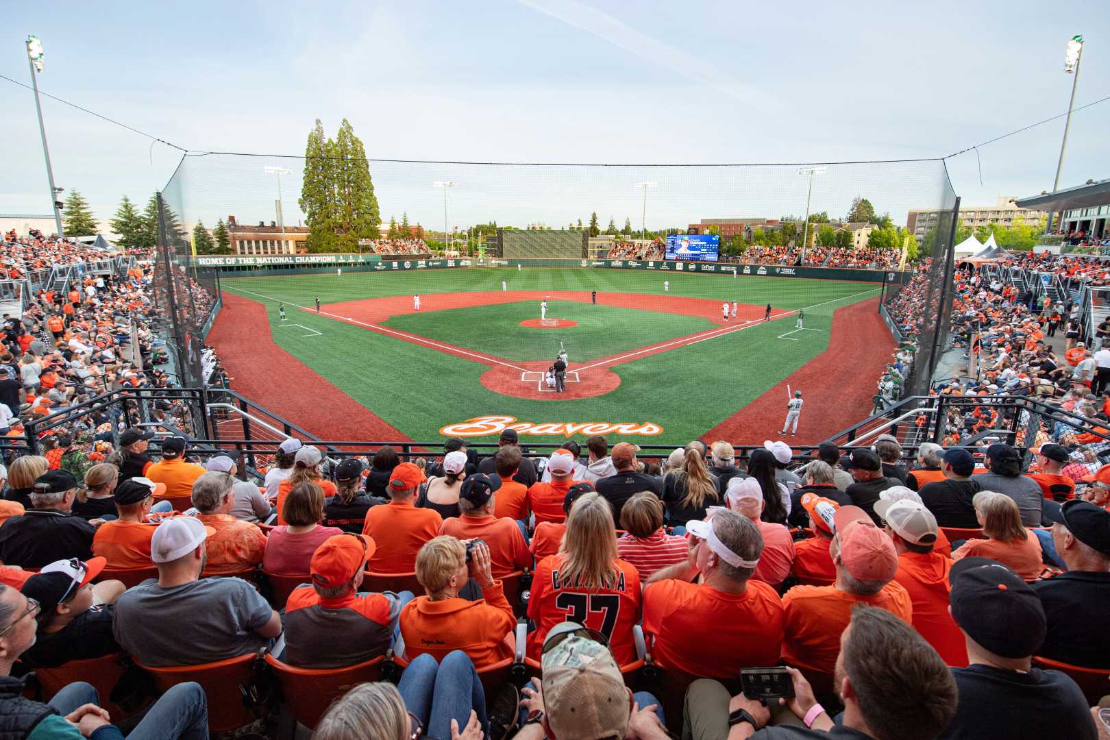 Oregon State Baseball 2025 Season Opener