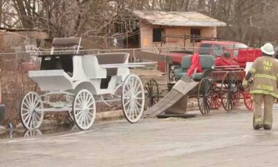 Philadelphia Horse Stable Fire Rescue Operations