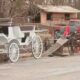 Philadelphia Horse Stable Fire Rescue Operations