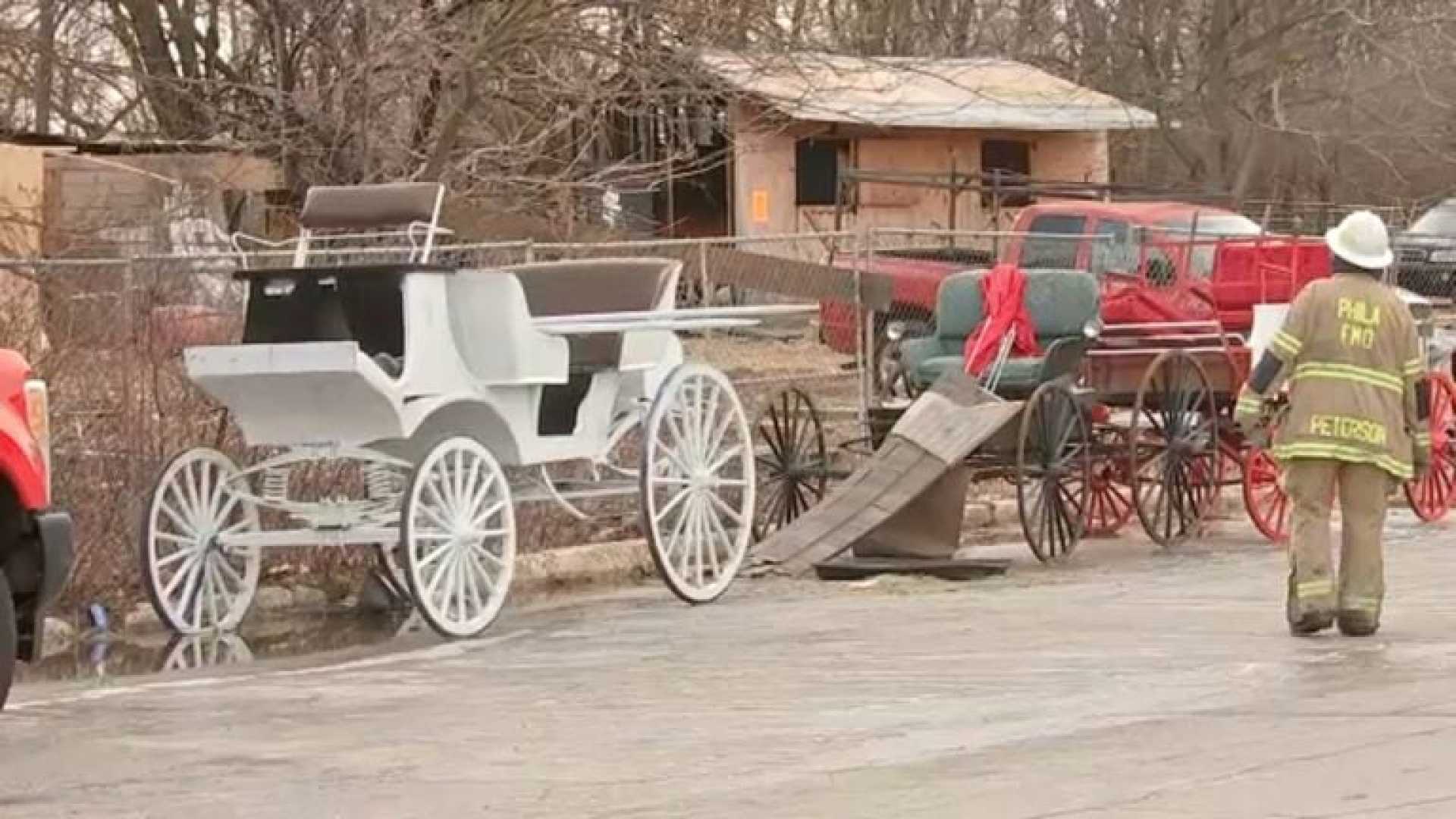 Philadelphia Horse Stable Fire Rescue Operations