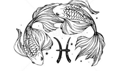 Pisces Zodiac Sign Astrology Illustration