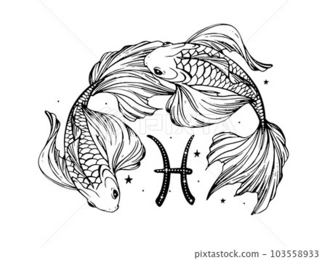 Pisces Zodiac Sign Astrology Illustration