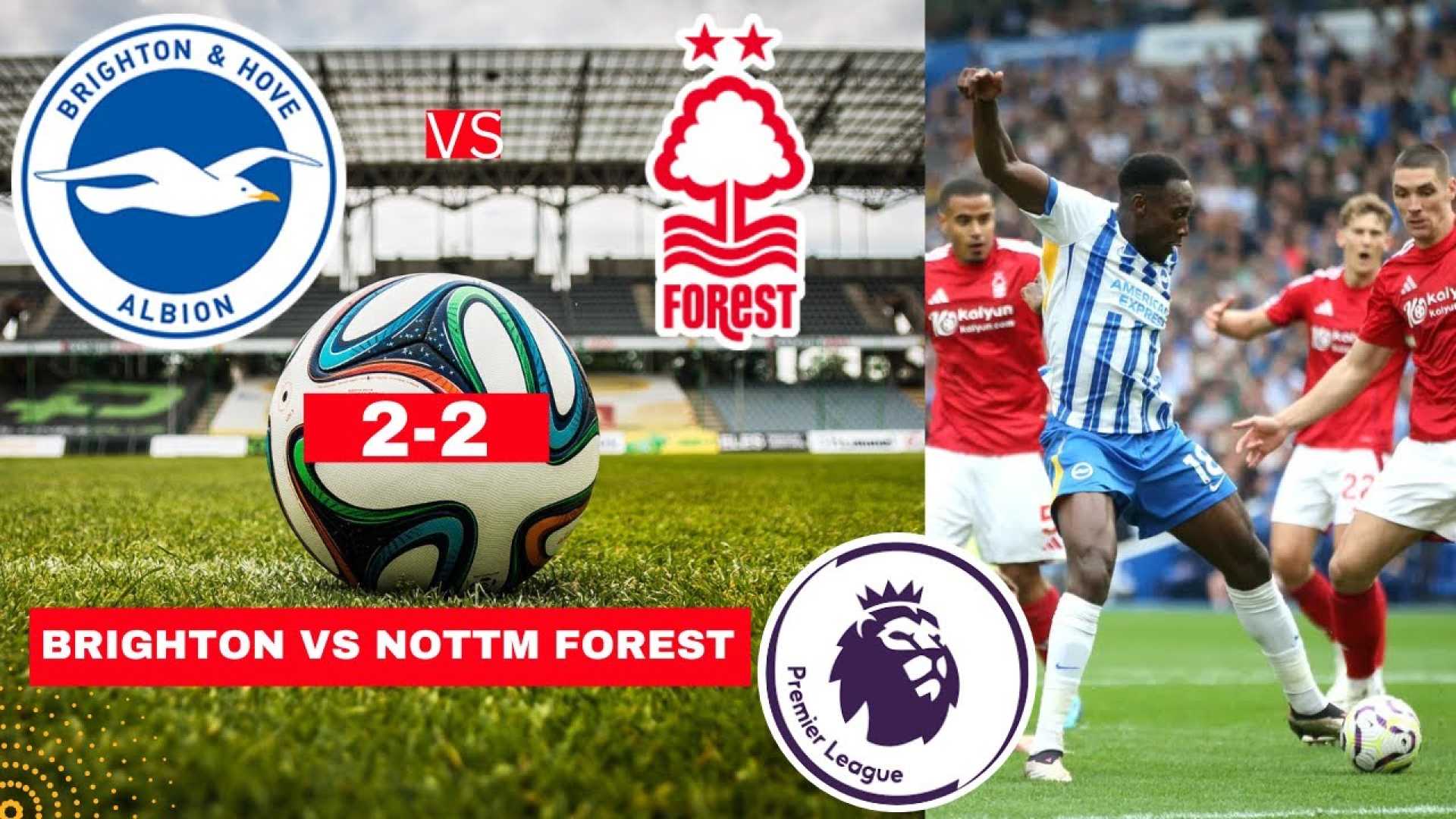 Premier League Nottingham Forest Vs Brighton Match