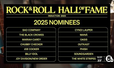 Rock And Roll Hall Of Fame Nominees 2025