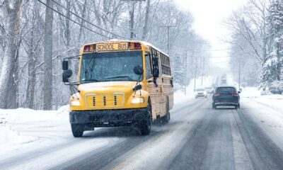 School Buses Driving In Snowy Roads