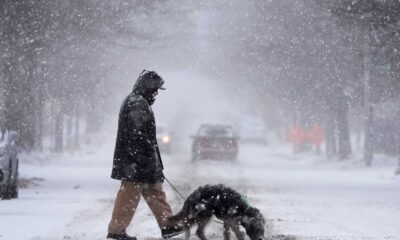 Severe Winter Storm East Coast Snowfall