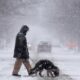 Severe Winter Storm East Coast Snowfall