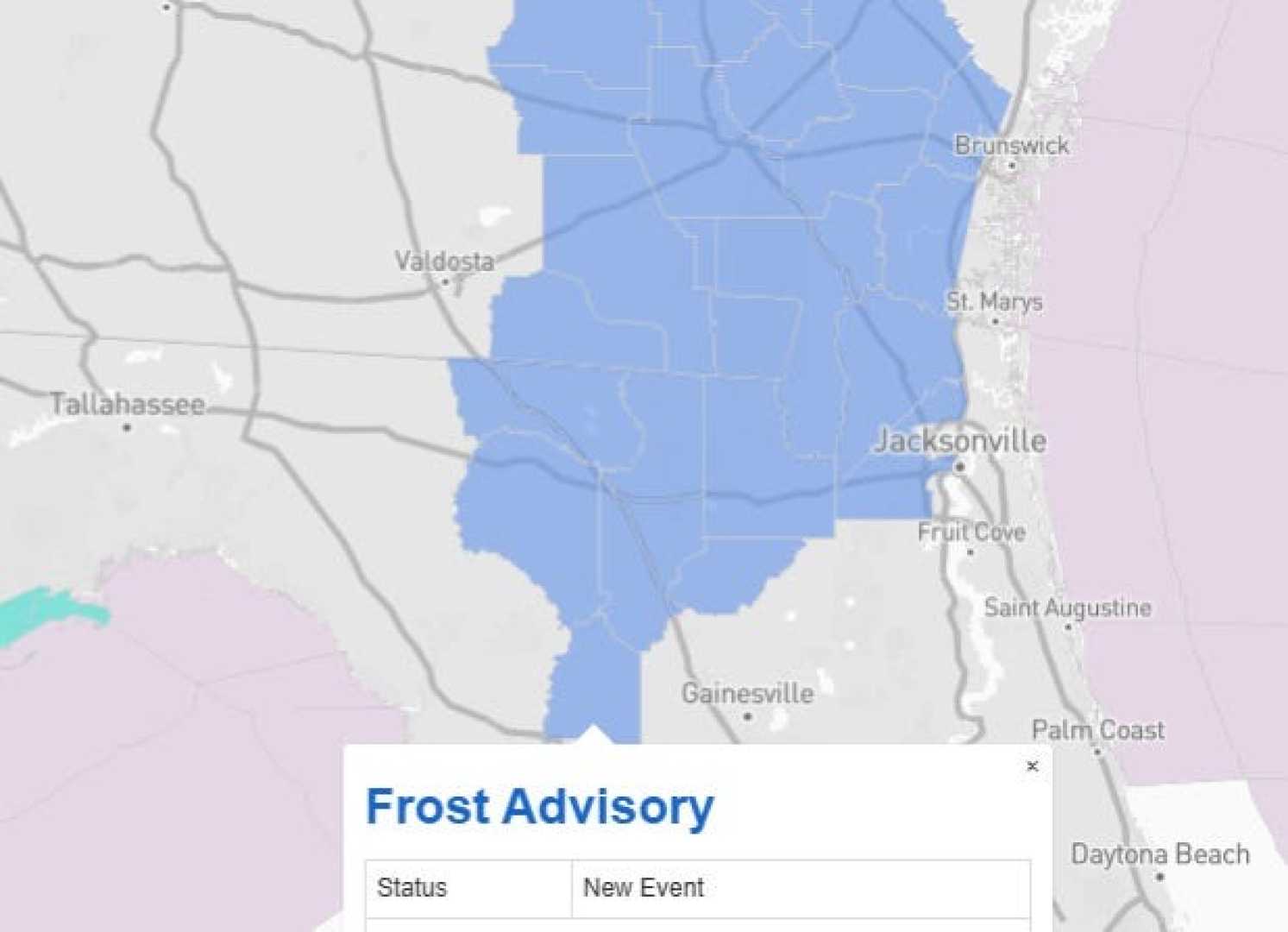 South Florida Weather Cold Front February 2025