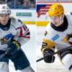 St. Louis Blues Penguins Trade Corey Andonovski Mathias Laferriere