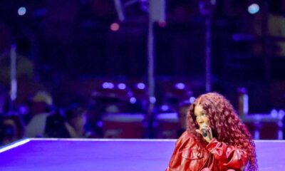 Super Bowl Halftime Show Performers Colored Hair