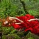 Tale Of Tales Movie Stills