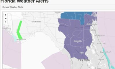 Tallahassee Florida Weather Forecast February 2025