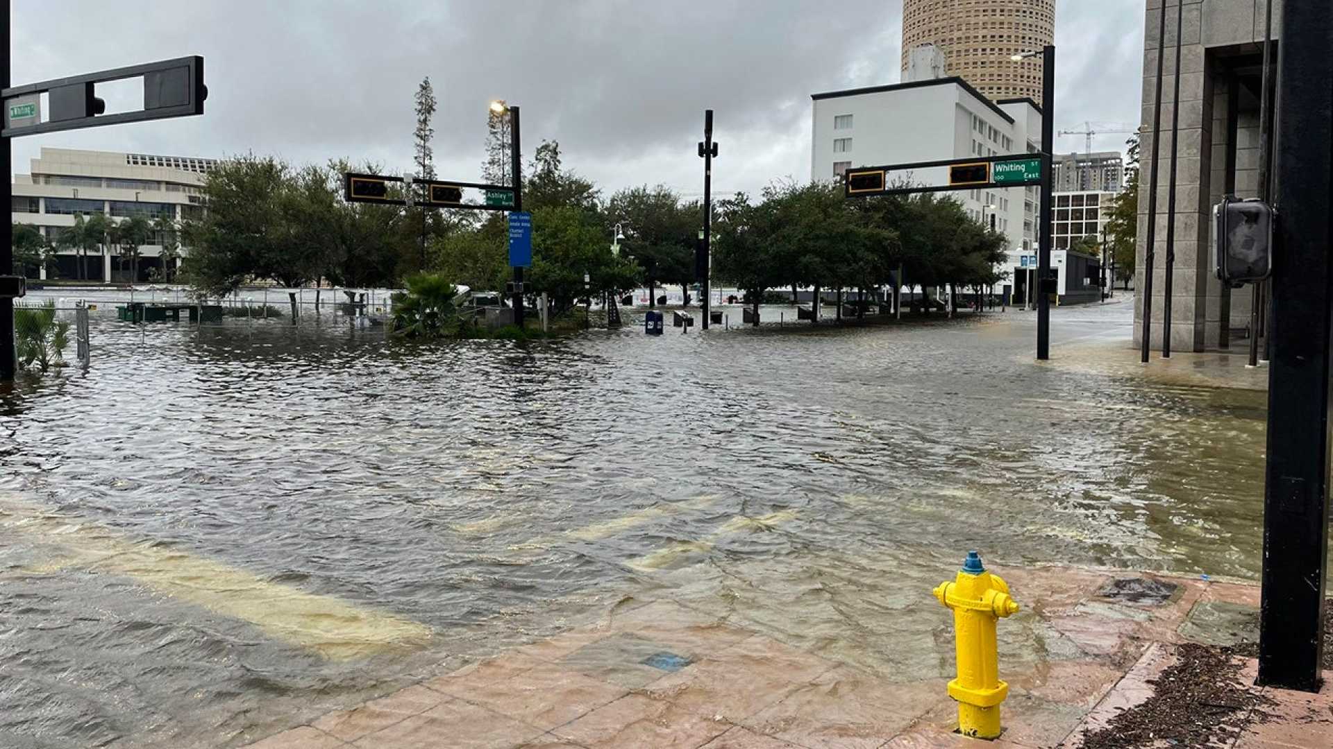 Tampa Storm Drain Flooding Hurricane Damage