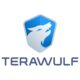 Terawulf Financial Results Quarterly Report