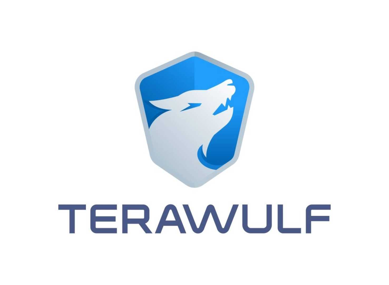 Terawulf Financial Results Quarterly Report