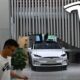 Tesla Autopilot Software Update China